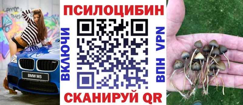 ОМГ ОМГ маркетплейс  Касимов  Псилоцибиновые грибы мицелий 