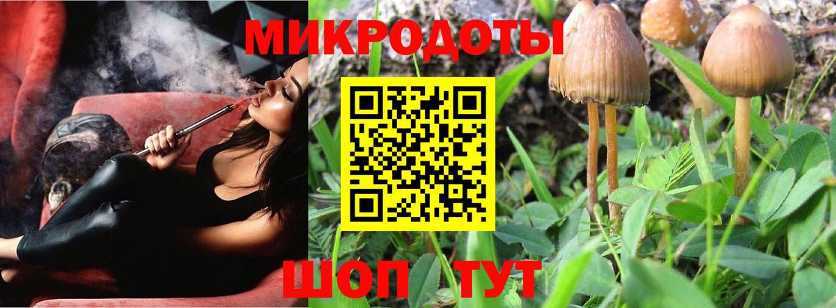 Галлюциногенные грибы Psilocybe Касимов