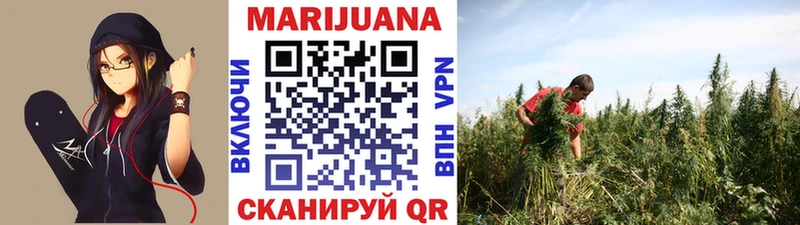 Бошки марихуана OG Kush Касимов